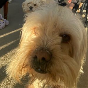 Meet your Posher, Jerry